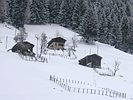 Ayder ve kar