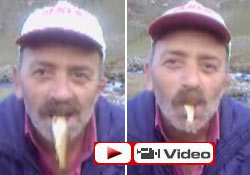 Rizeli alabalığı canlı canlı yer!