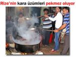 Rizede asırlık pekmez kültürü yaşatılıyor