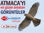 Rizelinin platonik aşkı atmaca: 16 dk. VİDEO