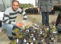 Pazar MYO, ürettiği 4 bin fidanı satacak
