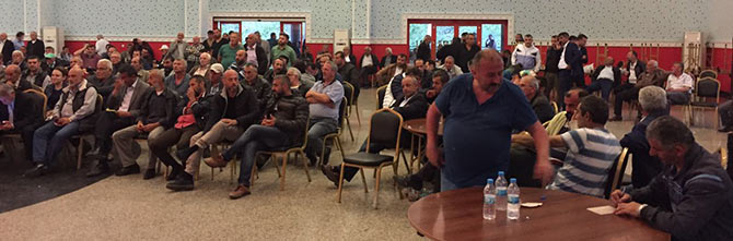 01-002.jpg 01-002.jpg