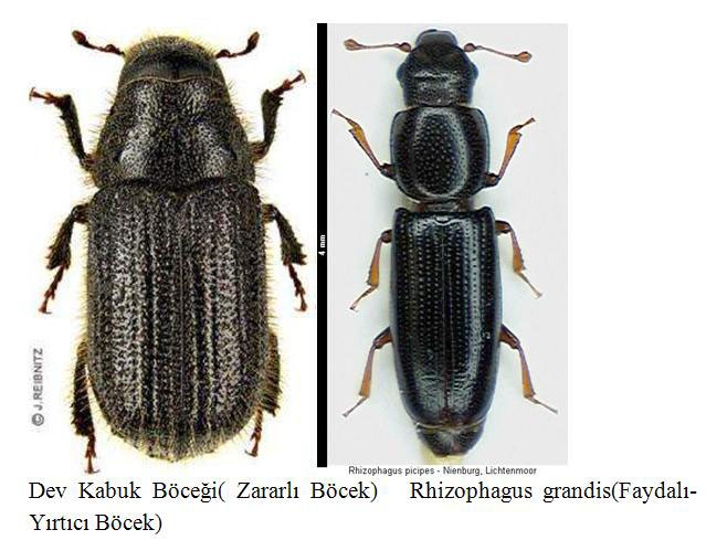 20150107aw291454_01.jpg 20150107aw291454_01.jpg