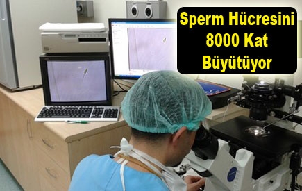 31834_1328709825_b.jpg 31834_1328709825_b.jpg