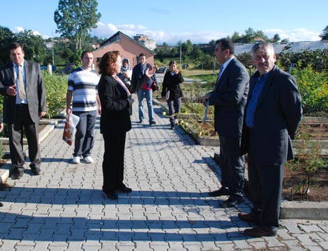 39421.20130115175229.jpg 39421.20130115175229.jpg