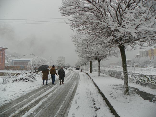 401190_10150553919428377_661943376_8863422_1484083882_n.jpg 401190_10150553919428377_661943376_8863422_1484083882_n.jpg