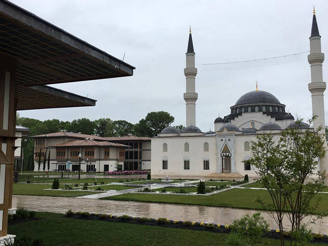 abd4-001.jpg abd4-001.jpg