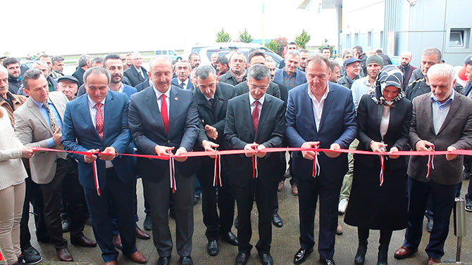 acls1-005.jpg acls1-005.jpg