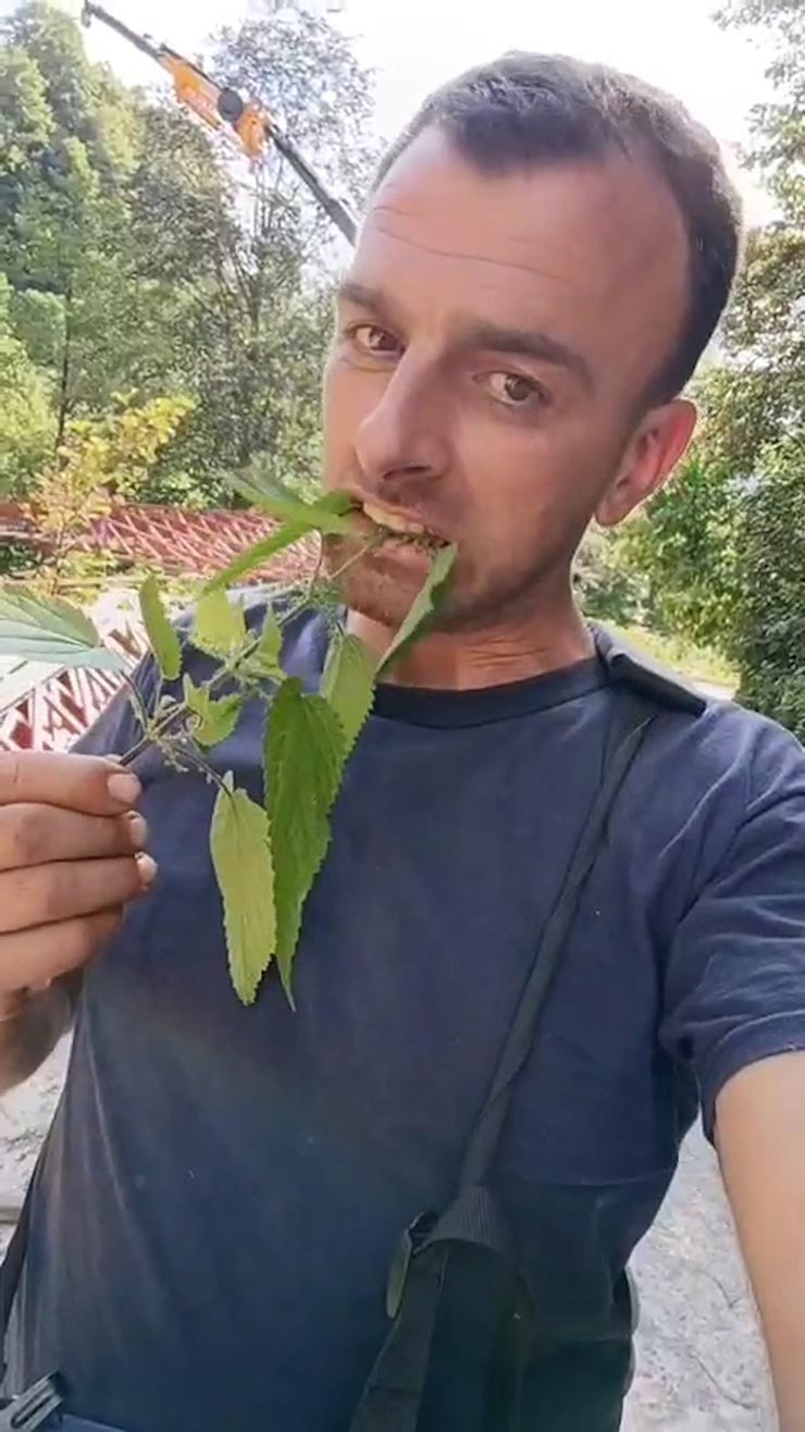adnansaymaz.jpg