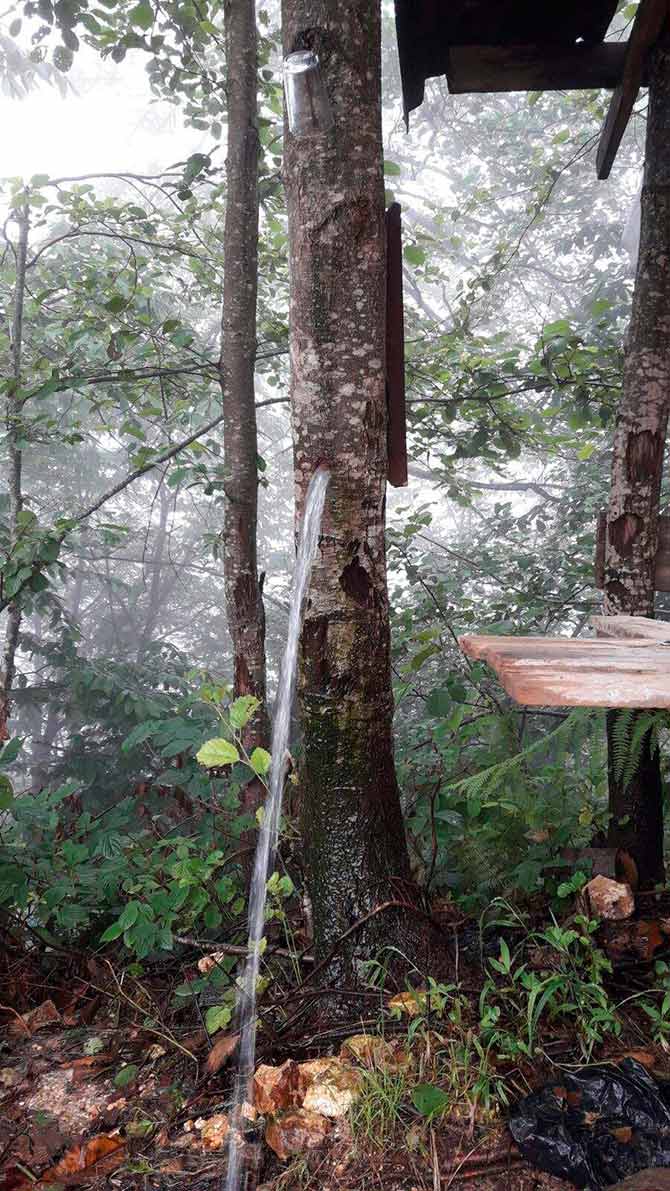 agac1-003.jpg agac1-003.jpg