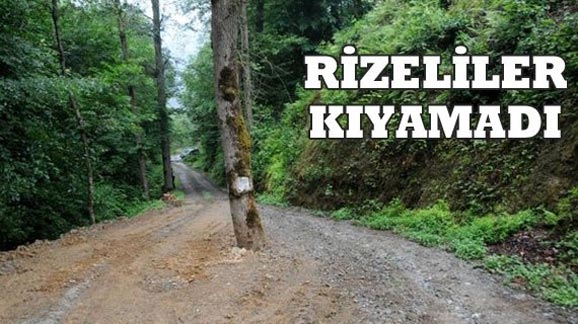 agac1.20130615235951.jpg agac1.20130615235951.jpg