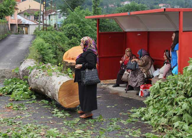 agac1.20140602162551.jpg agac1.20140602162551.jpg