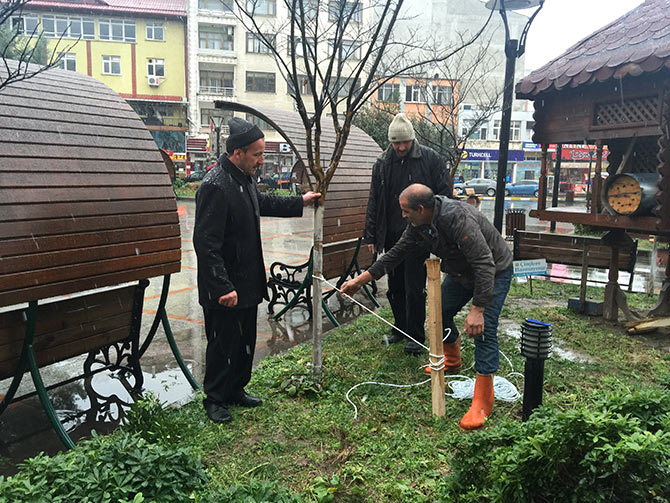 agac2-001.jpg agac2-001.jpg