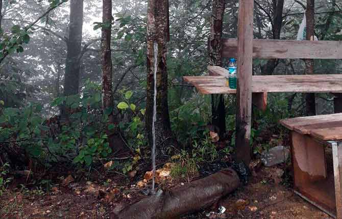 agac2-002.jpg agac2-002.jpg