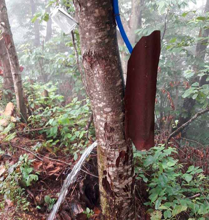 agac3-002.jpg agac3-002.jpg