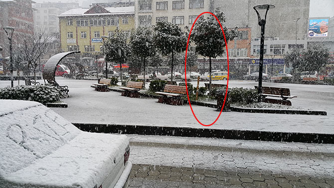 agac4-001.jpg agac4-001.jpg