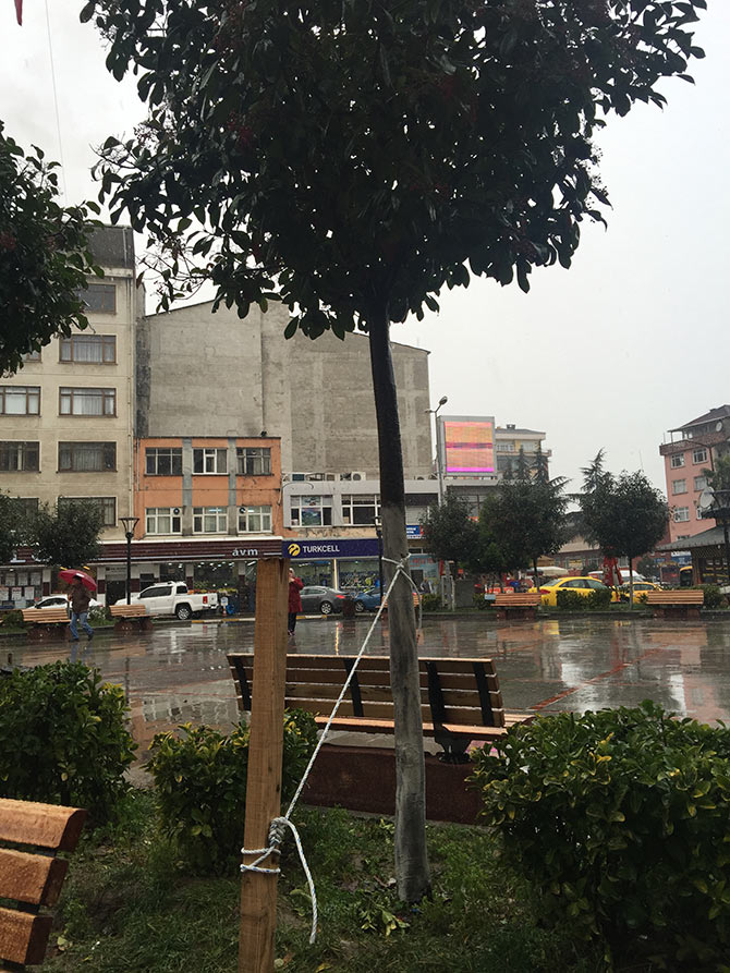 agac5-001.jpg agac5-001.jpg