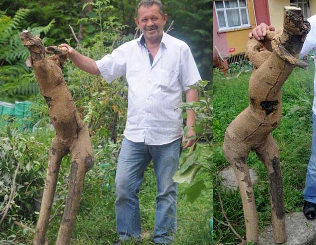 agackoku1.jpg agackoku1.jpg