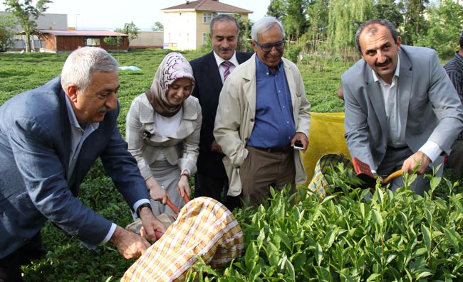 akil1.20130520185912.jpg akil1.20130520185912.jpg