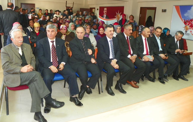 akp3.20130321221830.jpg akp3.20130321221830.jpg