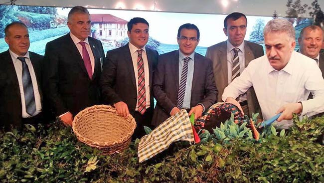 ank2.20140408164900.jpg ank2.20140408164900.jpg