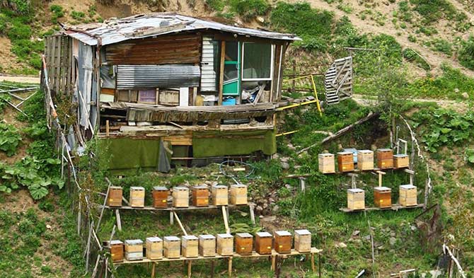 anzer2-001.jpg anzer2-001.jpg