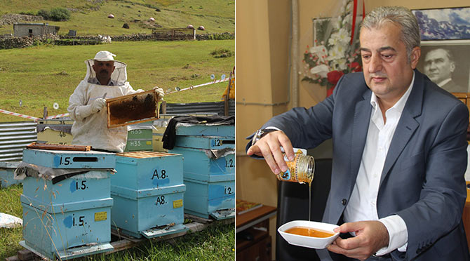 anzerbal1.jpg anzerbal1.jpg