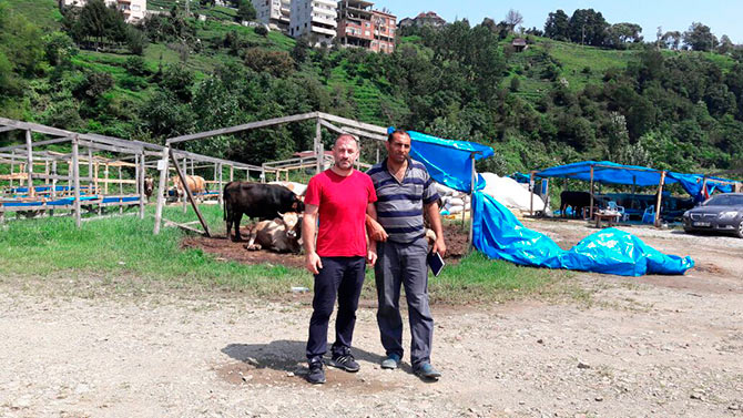 apso2-001.jpg apso2-001.jpg