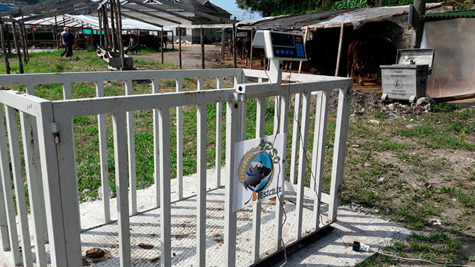 apso3-001.jpg apso3-001.jpg