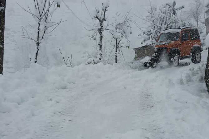 arac1-001.jpg arac1-001.jpg