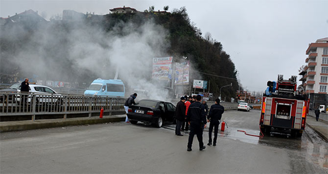 arac3-002.jpg arac3-002.jpg