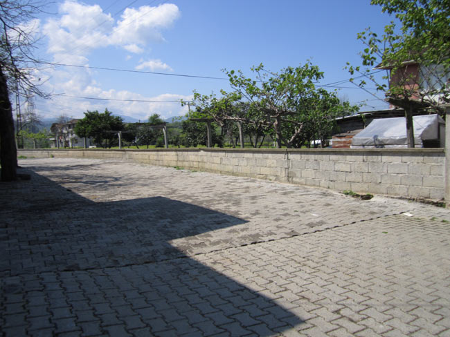 ard2.20130503111110.jpg ard2.20130503111110.jpg