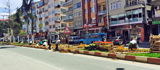 ard2.20150427151454.jpg ard2.20150427151454.jpg