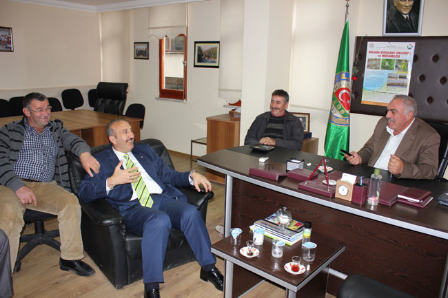 ard3.20131115020328.jpg ard3.20131115020328.jpg