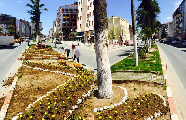 ard3.20150427151400.jpg ard3.20150427151400.jpg