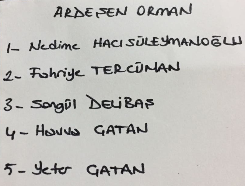 ardesenorman1.jpg ardesenorman1.jpg