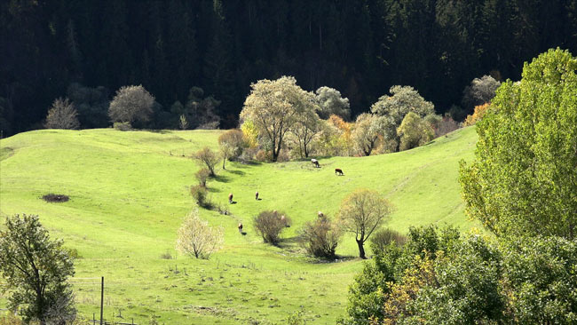 artv1.20150121104637.jpg artv1.20150121104637.jpg