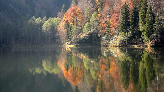 artv2.20150121104621.jpg artv2.20150121104621.jpg