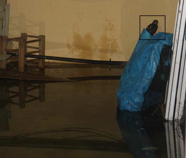 atmaca.20141101202953.jpg atmaca.20141101202953.jpg