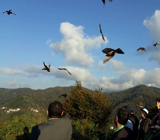 atmaca1-005.jpg atmaca1-005.jpg