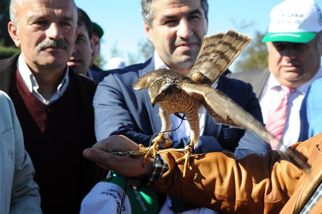 atmaca1.20141109180144.jpg atmaca1.20141109180144.jpg