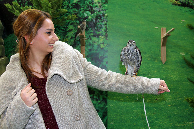 atmaca2-002.jpg atmaca2-002.jpg