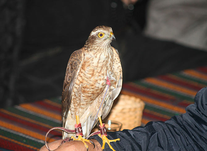 atmaca2-004.jpg atmaca2-004.jpg