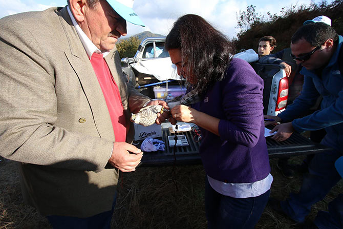 atmaca3-004.jpg atmaca3-004.jpg