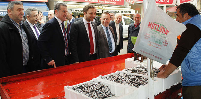 avci-002.jpg avci-002.jpg