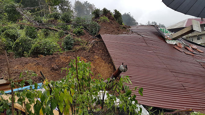 avci2-002.jpg avci2-002.jpg