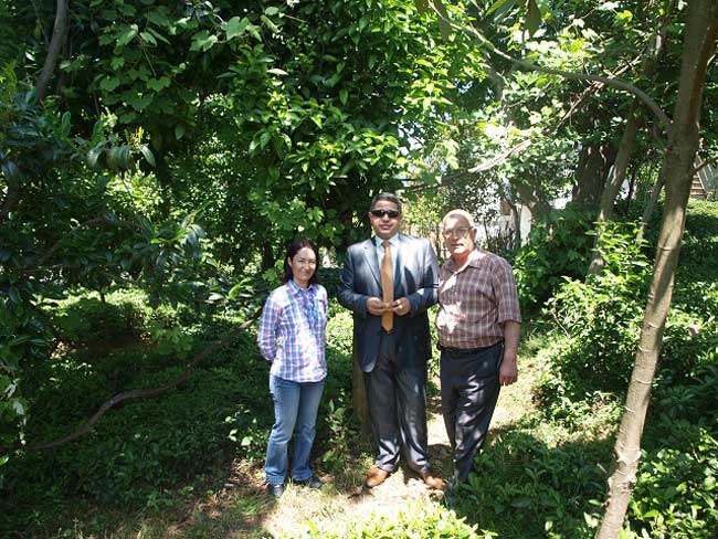 avokado2.jpg avokado2.jpg