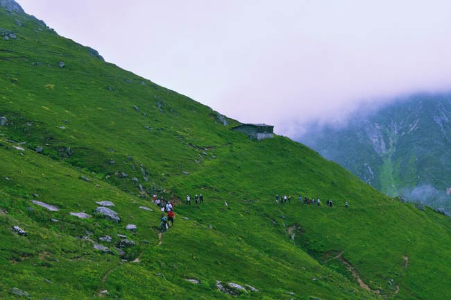 avusor2.jpg avusor2.jpg