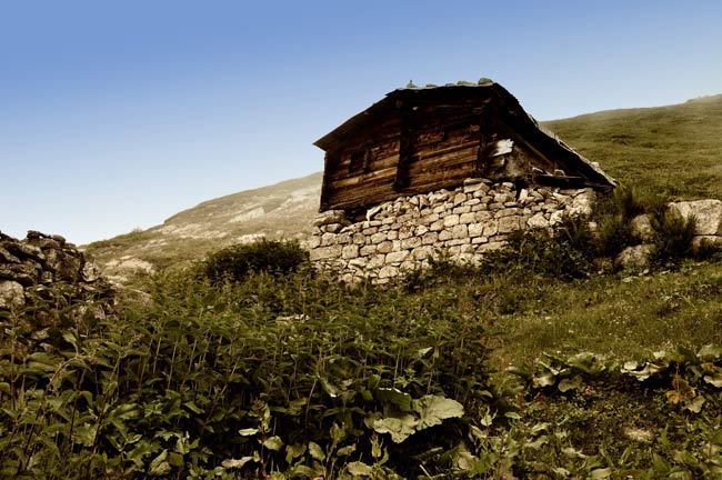 avusor3.jpg avusor3.jpg