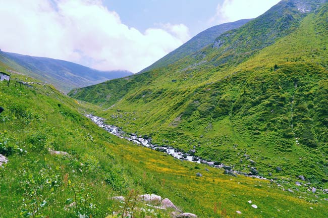 avusor4.jpg avusor4.jpg